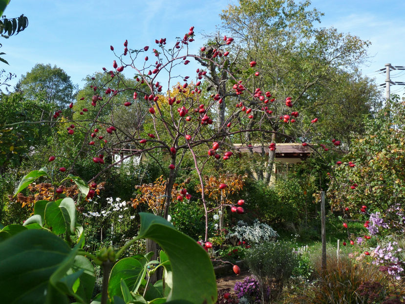  - 2022 - 03 - Toamna