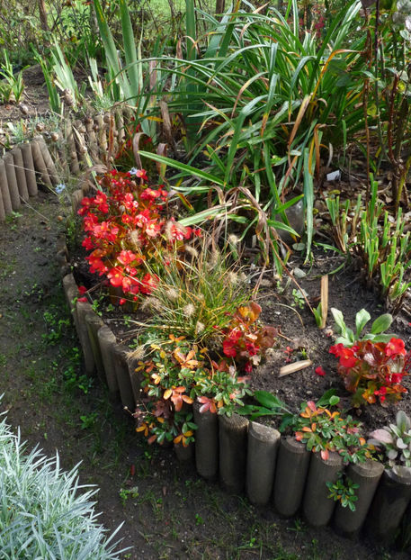  - 2022 - 03 - Toamna