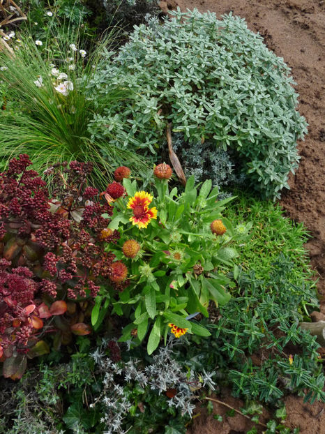  - 2022 - 03 - Toamna