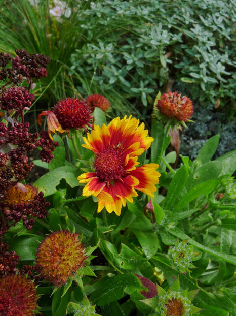  - 2022 - 03 - Toamna