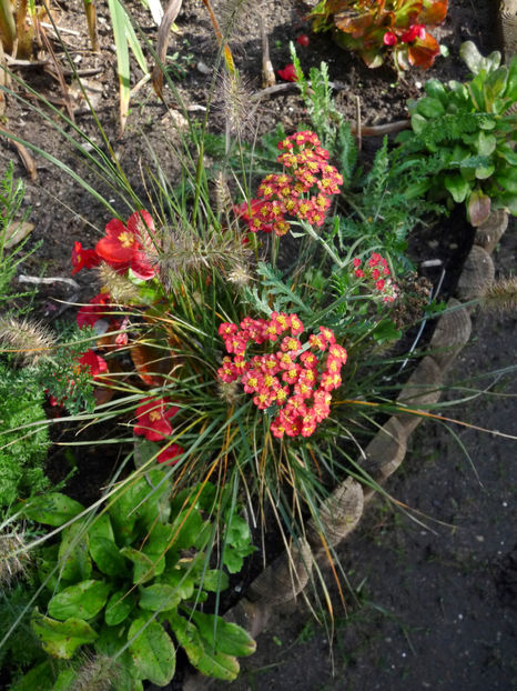  - 2022 - 03 - Toamna