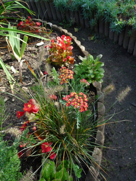  - 2022 - 03 - Toamna