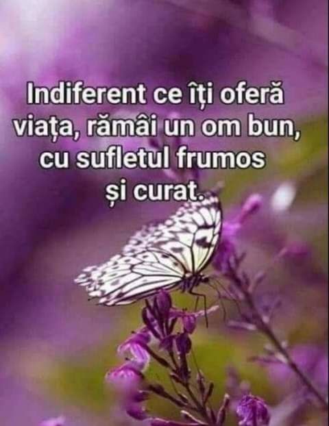  - citate frumoase