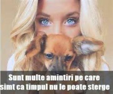 101093256_YUIMCRY3-1 - citate frumoase