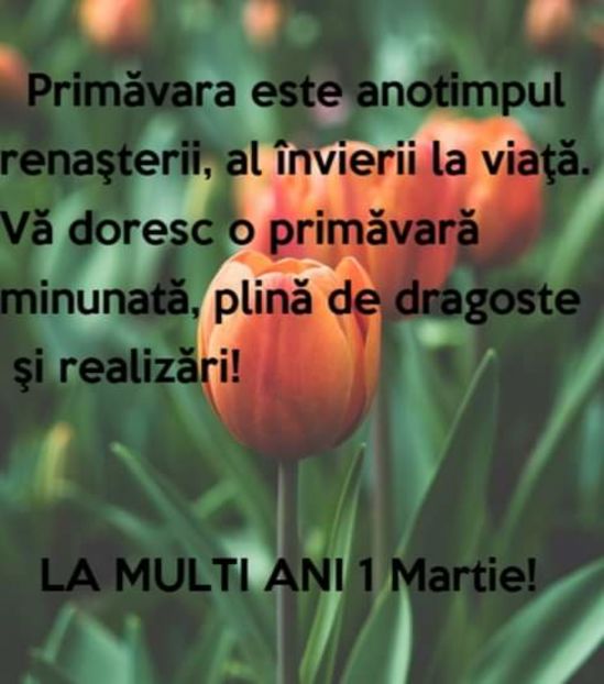  - citate frumoase