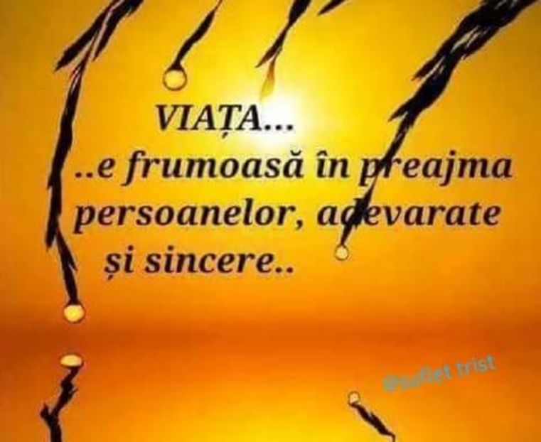  - citate minunate
