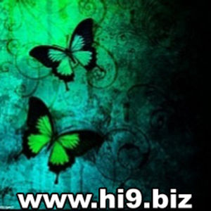 29895480_EVDOIZDXW - pictures