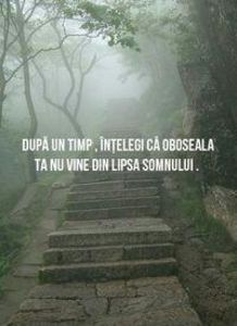 111433028_OKXKAYA3-1 - pictures