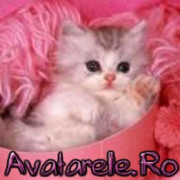  - pictures