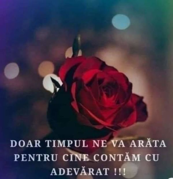  - citate dragute