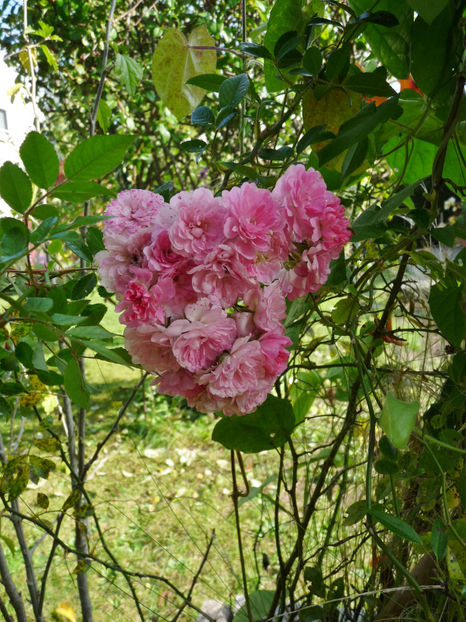  - 2022 - 03 - Toamna