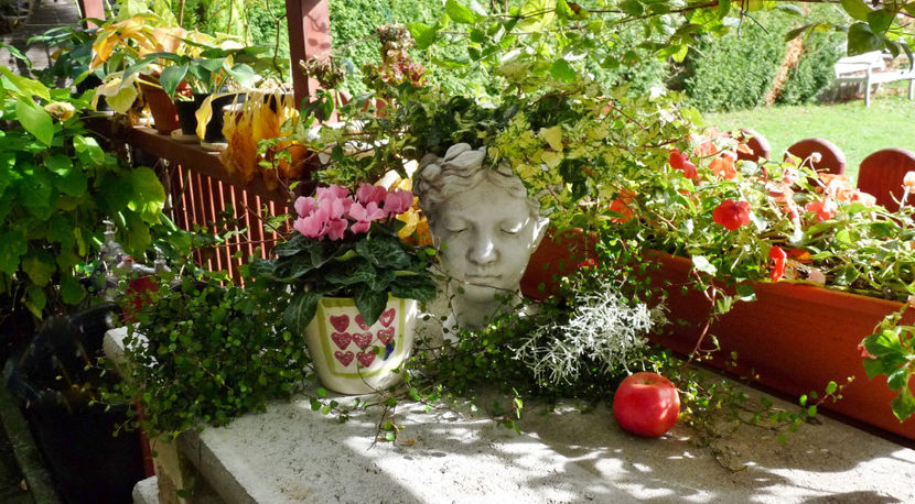  - 2022 - 03 - Toamna