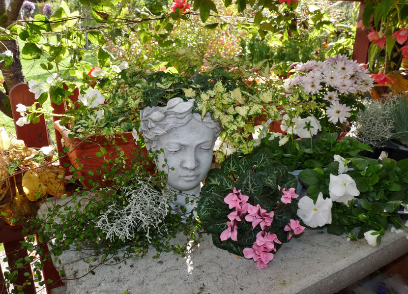  - 2022 - 03 - Toamna