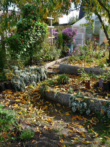  - 2022 - 03 - Toamna