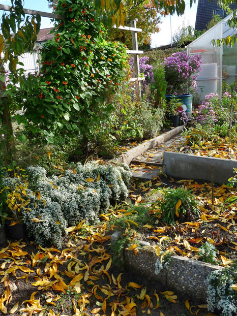  - 2022 - 03 - Toamna