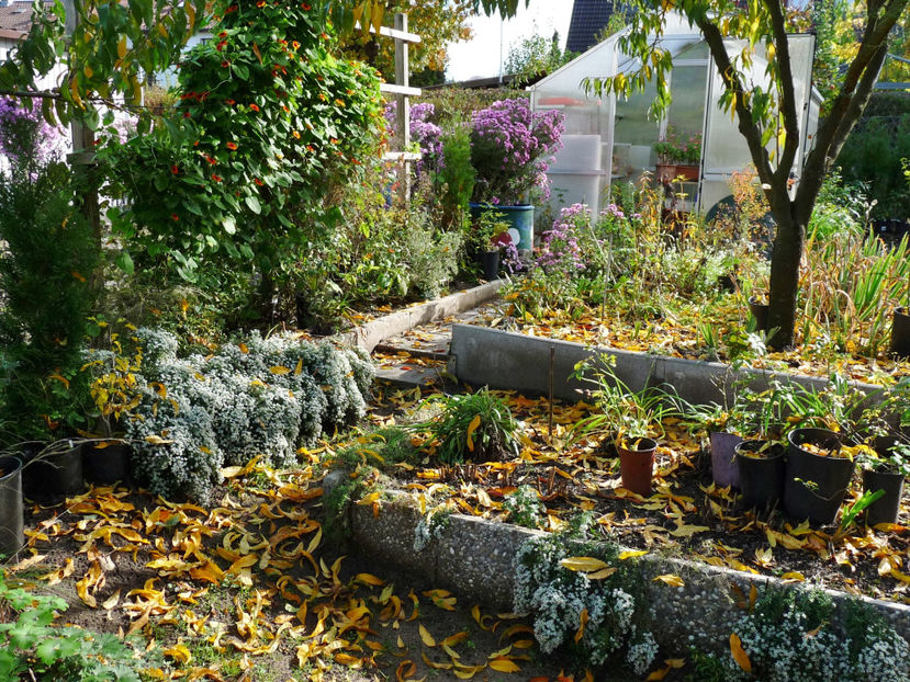  - 2022 - 03 - Toamna