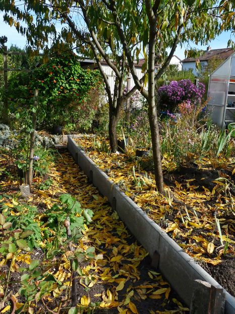  - 2022 - 03 - Toamna