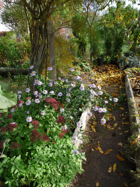  - 2022 - 03 - Toamna