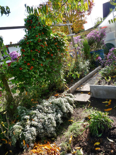  - 2022 - 03 - Toamna