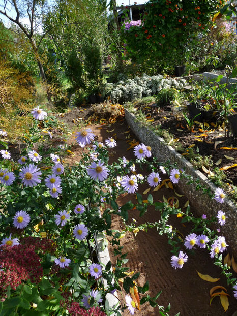  - 2022 - 03 - Toamna