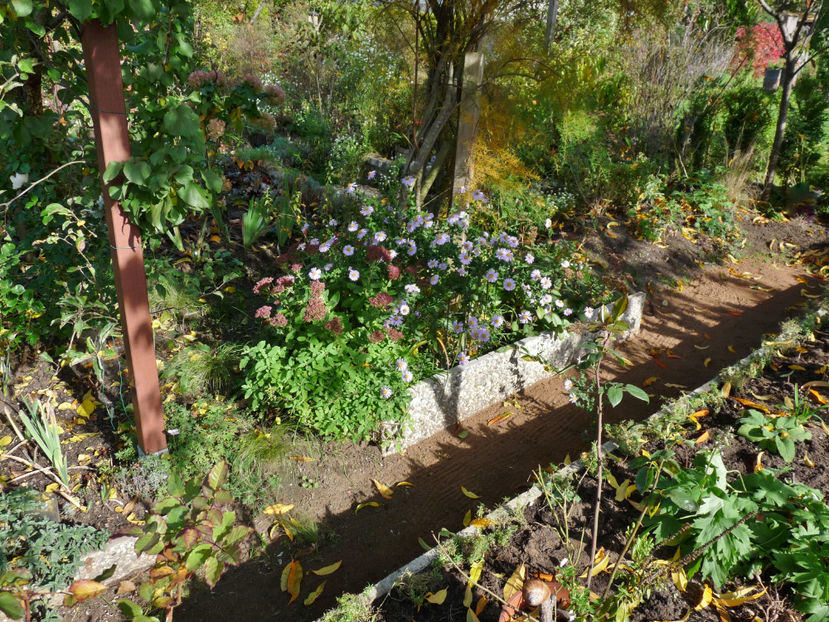  - 2022 - 03 - Toamna