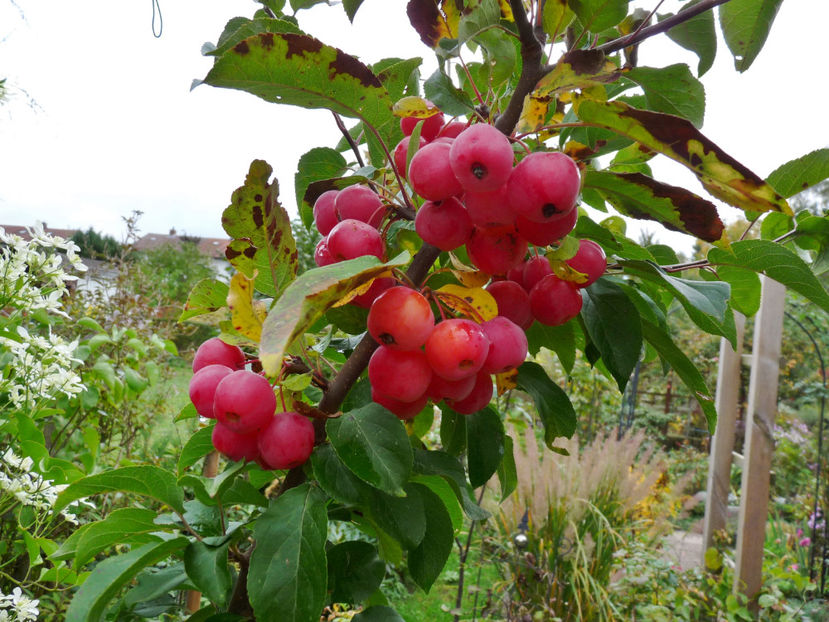  - 2022 - 03 - Toamna