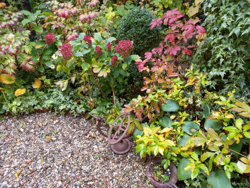  - Grădina 2022 continuare 4