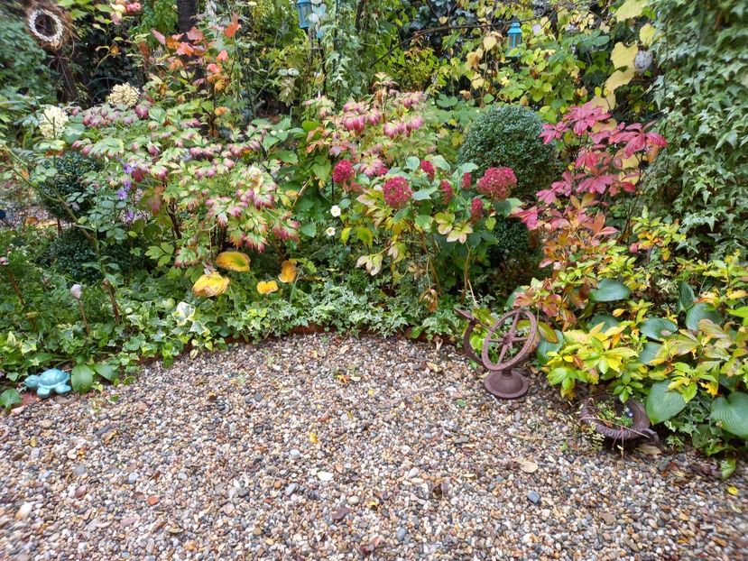  - Grădina 2022 continuare 4