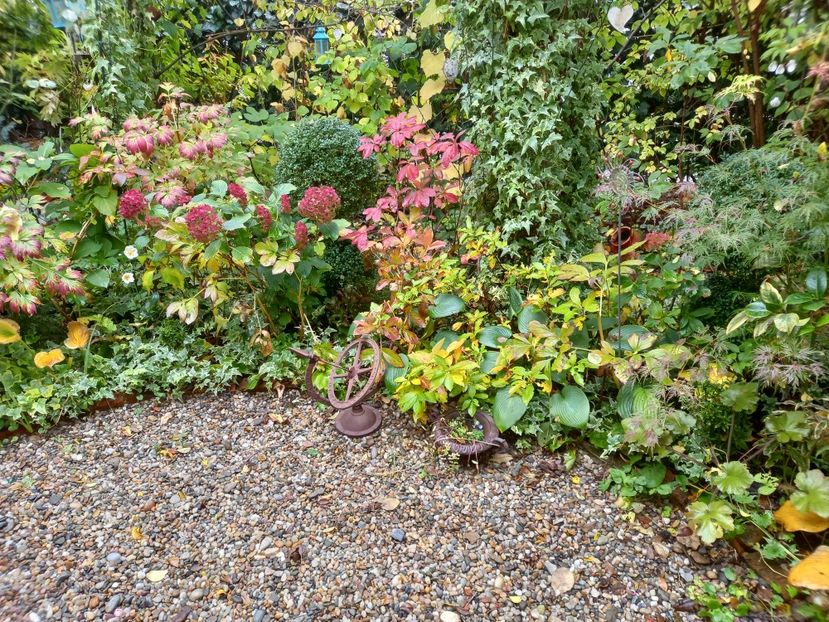  - Grădina 2022 continuare 4