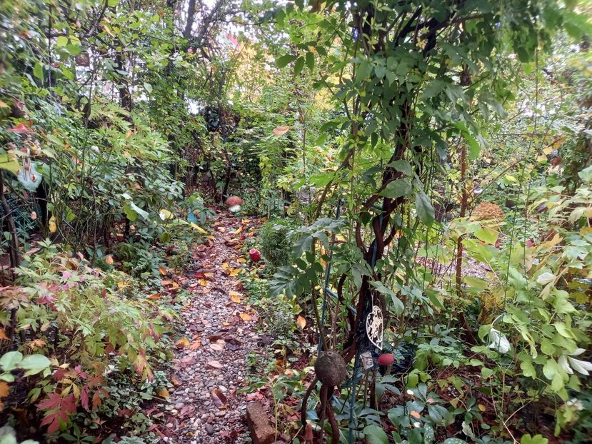  - Grădina 2022 continuare 4