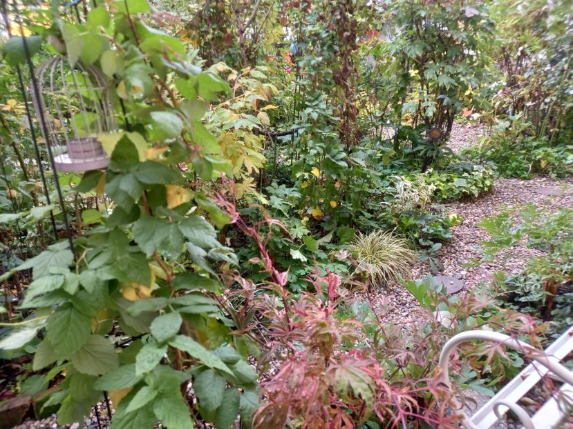  - Grădina 2022 continuare 4