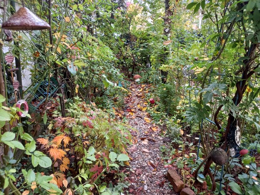  - Grădina 2022 continuare 4