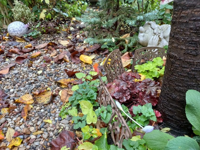  - Grădina 2022 continuare 4