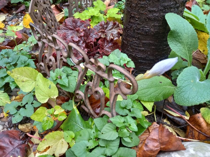  - Grădina 2022 continuare 4