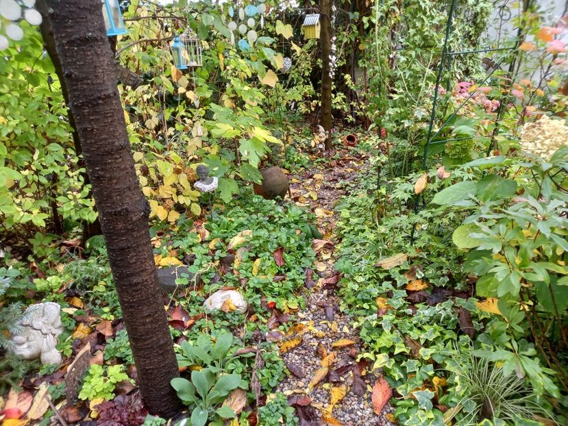  - Grădina 2022 continuare 4