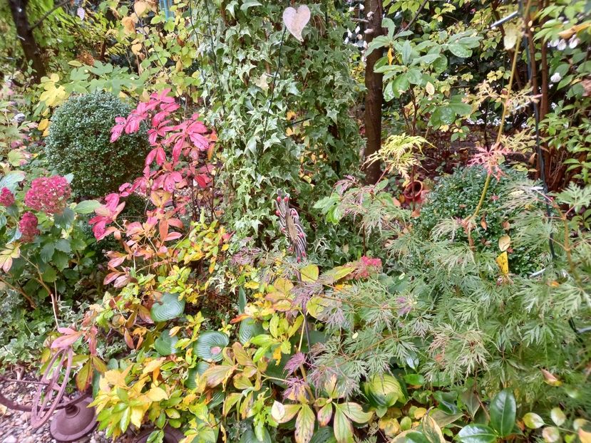  - Grădina 2022 continuare 4