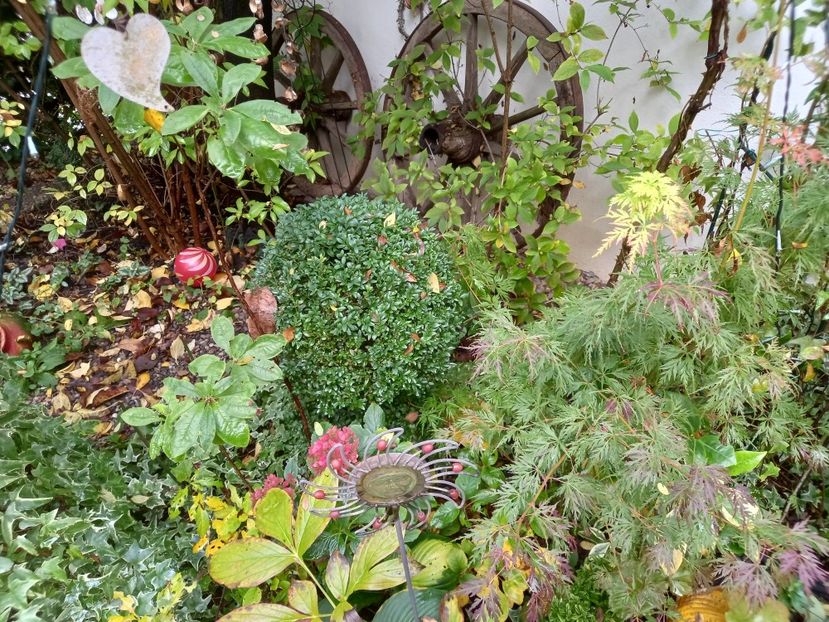  - Grădina 2022 continuare 4