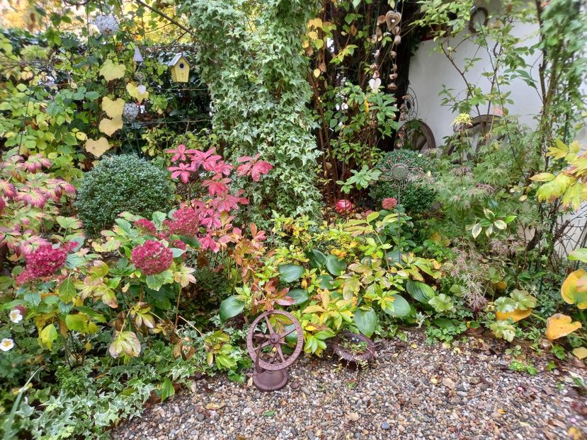  - Grădina 2022 continuare 4