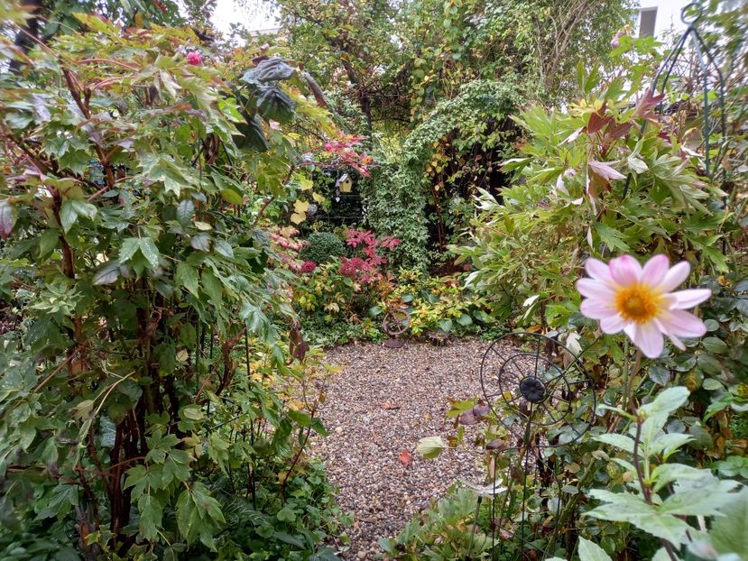  - Grădina 2022 continuare 4