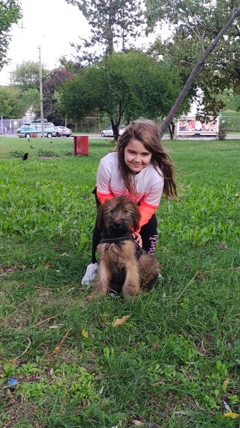  - BRIARD Ciobanesc de BRIE