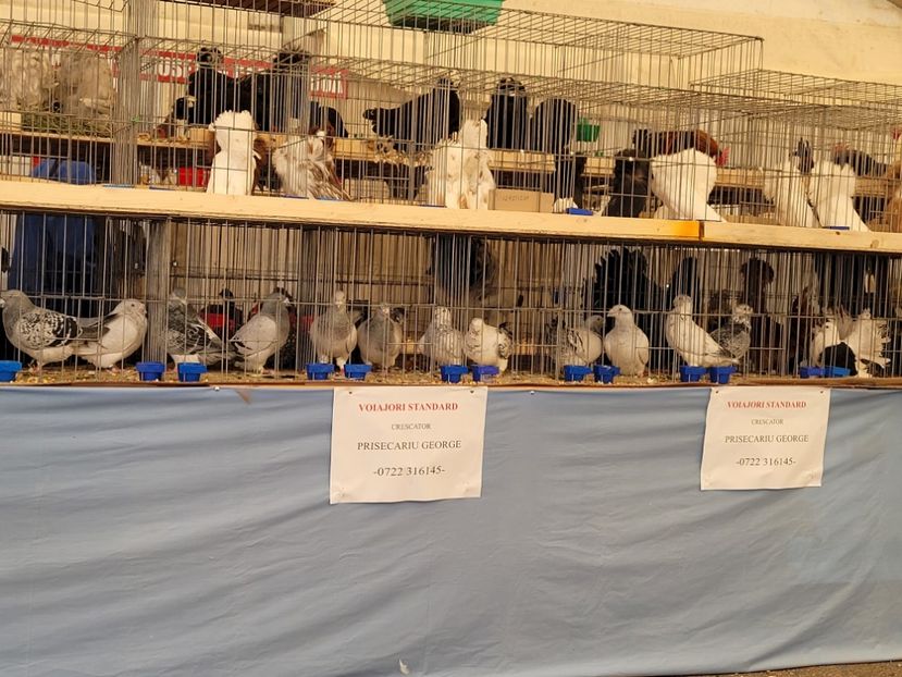  - 0- INDAGRA 2022 26 - 30 oct