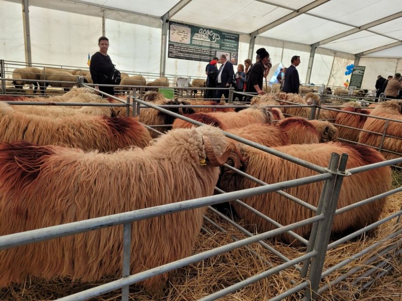  - 0- INDAGRA 2022 26 - 30 oct