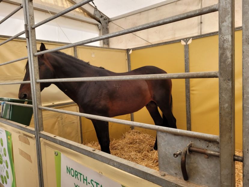  - 0- INDAGRA 2022 26 - 30 oct