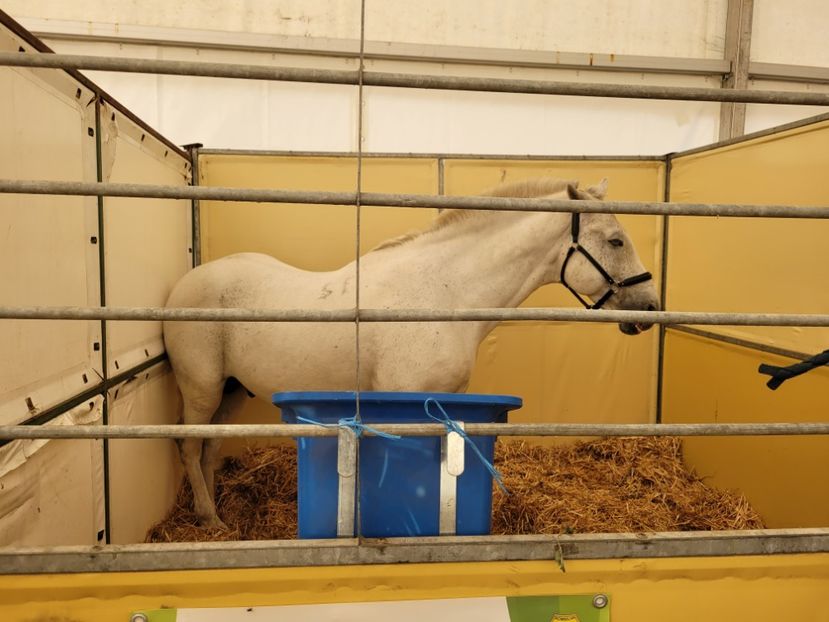  - 0- INDAGRA 2022 26 - 30 oct