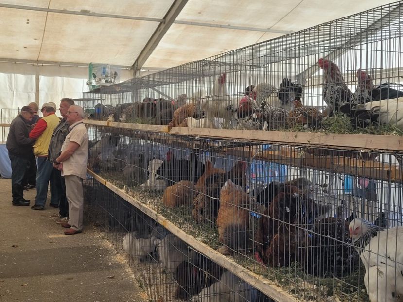  - 0- INDAGRA 2022 26 - 30 oct