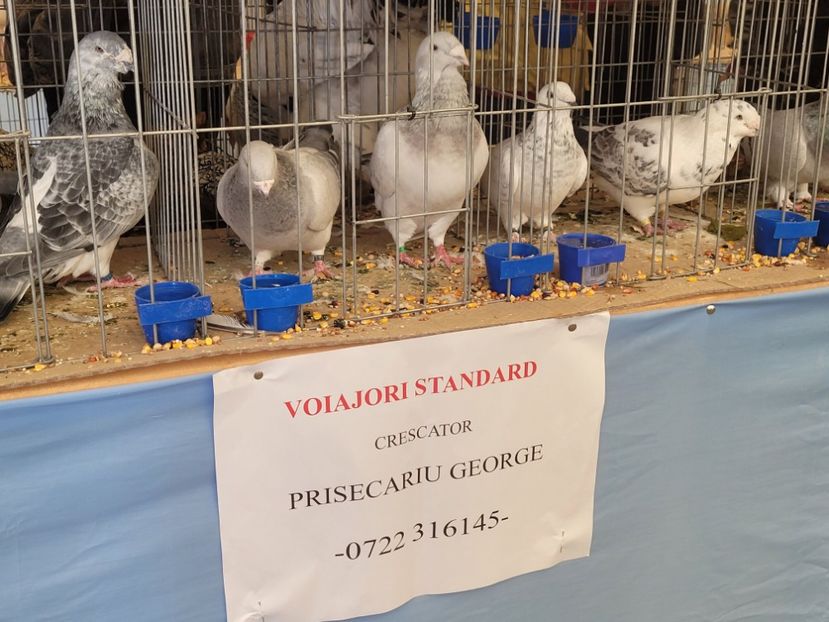  - 0- INDAGRA 2022 26 - 30 oct