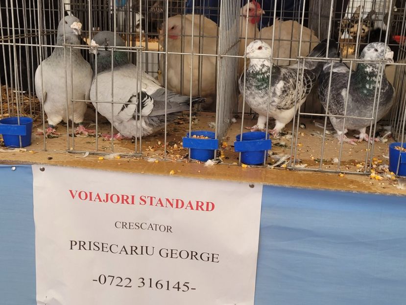  - 0- INDAGRA 2022 26 - 30 oct