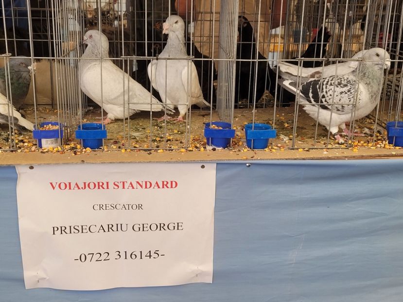  - 0- INDAGRA 2022 26 - 30 oct