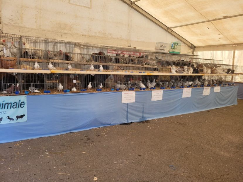  - 0- INDAGRA 2022 26 - 30 oct