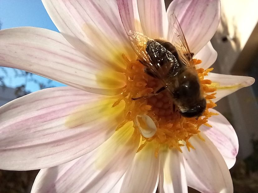  - Grădina 2022 continuare 4